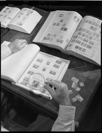Stamp collector