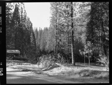 Big Creek - Mammoth Pool - Clearing for Chiquito Creek Crossing