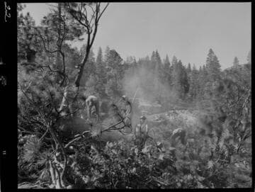 Big Creek - Mammoth Pool - Clearing right-of-way for access road to Mammoth Pool campground