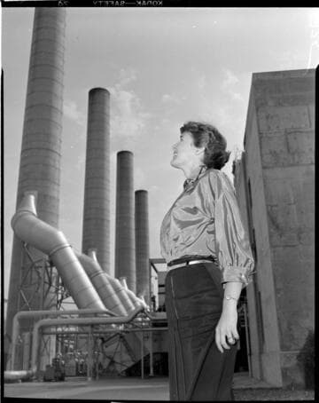 Profile of young lady against background of stacks at Redondo Steam Station