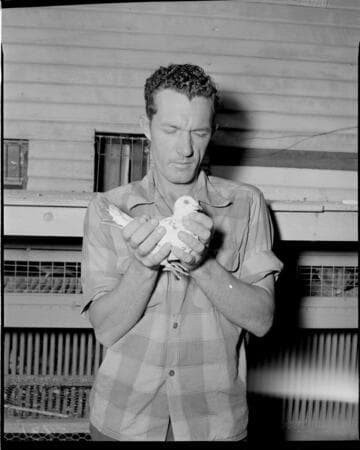 Man holding a pigeon