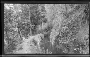 Stream or canal through a forest