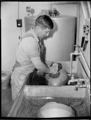 Dairy Booklet photos