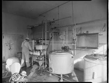 Dairy Booklet photos