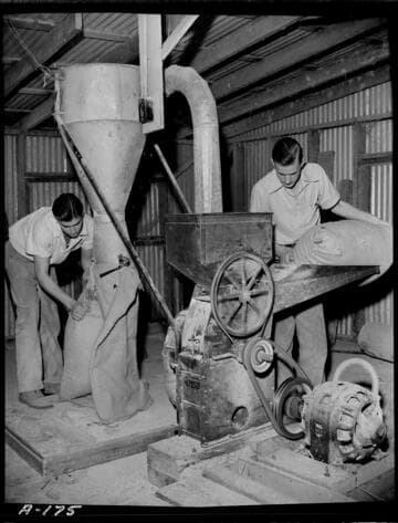 Dairy Booklet photos