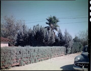 Palm Springs