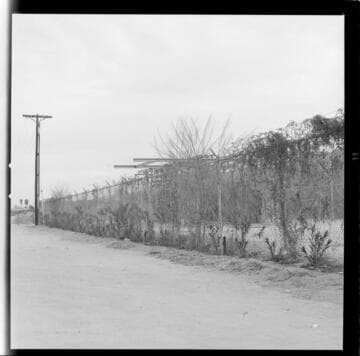 Palm Springs Substations