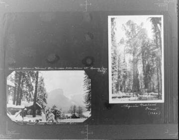Pinehurst, CA near Vincent line. ; "General Sherman" Sequoia National Forest