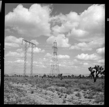 Bishop & Hoover tower line through desert Joshua Tree woodland