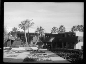 Palm Springs