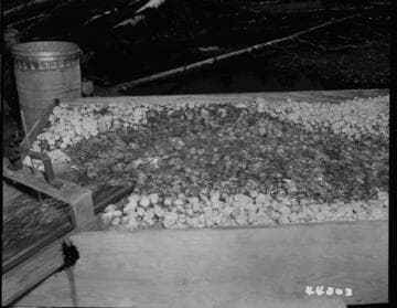 Big Creek, Vermilion Dam