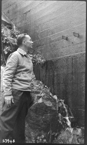 Big Creek, Stevenson Creek Test Dam