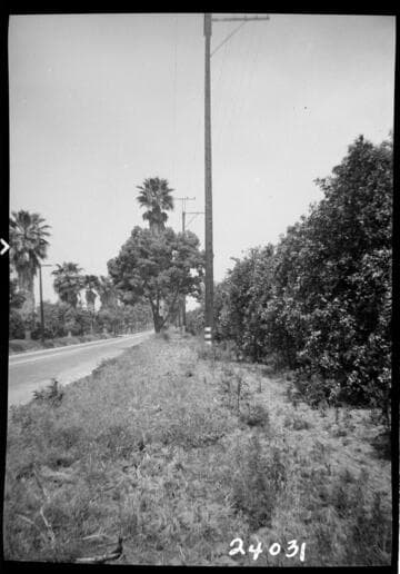 Miscellaneous Transmission