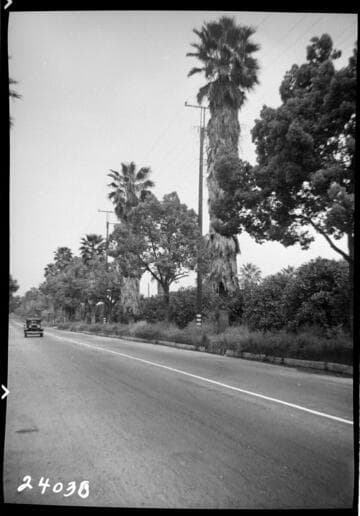 Miscellaneous Transmission