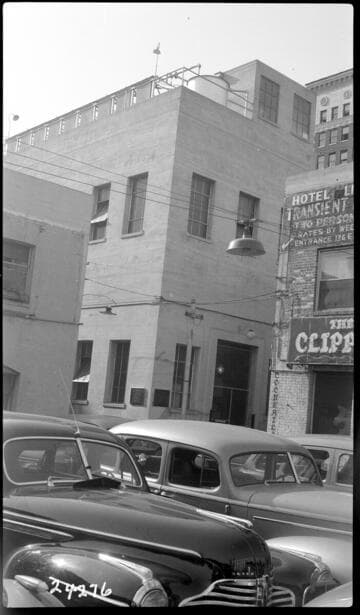 Pine Ave