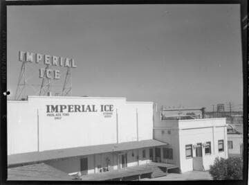 Imperial Ice Plant