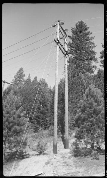 Distribution line through forest