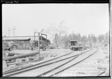Runaway of Patrolman's Rig : Showing damage caused by partrolman Geo. Bates's team running away