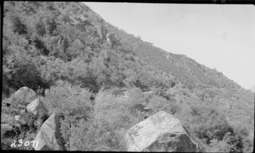 Kaweah #1