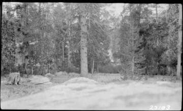 Big Creek, Miscellaneous - Vermilion Valley