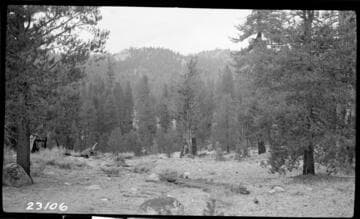 Big Creek, Miscellaneous - Vermilion Valley