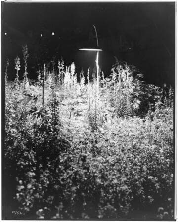 L1.1 - Lighting, misc. - Garden Lighting