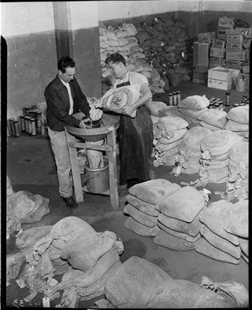 Men filling containers with Portland cement