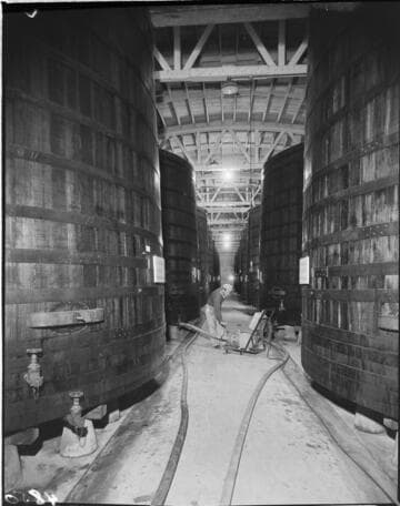 Man working in aisle between two rows of very large wooden vats