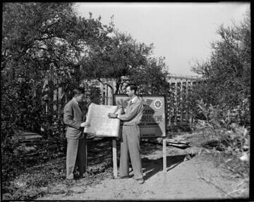 Domestic, adequate wireing