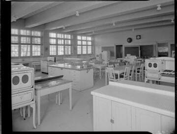 Domestic, Schools Promotion