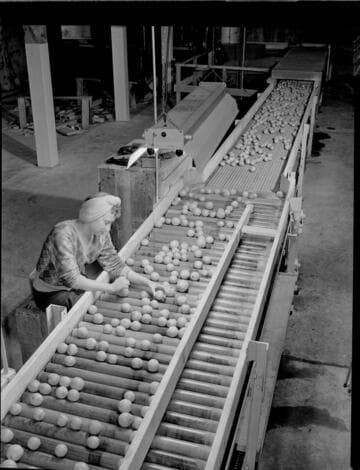 Agriculture