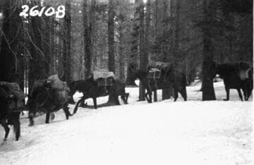 Bear Creek High Lakes