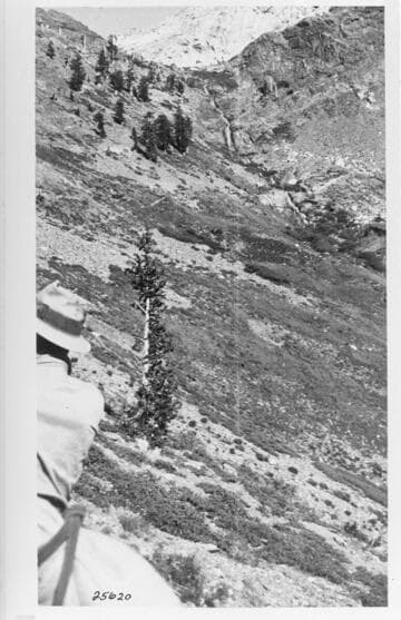 Kaweah Miscellaneous