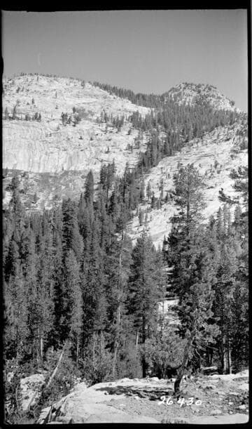 Fish Valley