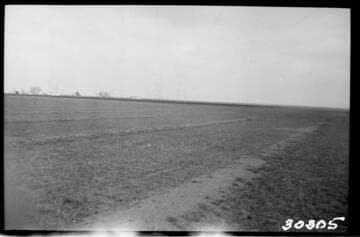 Vincent Transmission Line