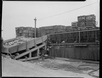 Agriculture Miscellaneous