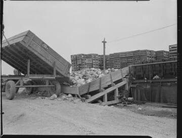 Agriculture Miscellaneous