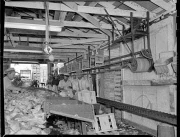 Agriculture Miscellaneous