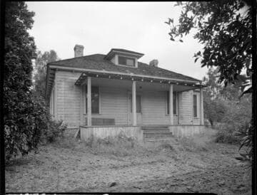 General Miscellaneous