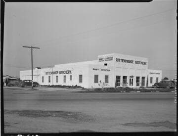 Rittenhouse Hatchery