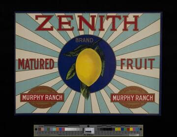 Zenith Brand
