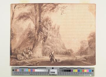 Landscape with Large Tree