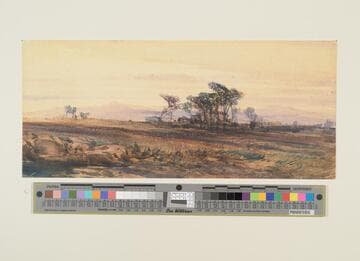 Heath Scene