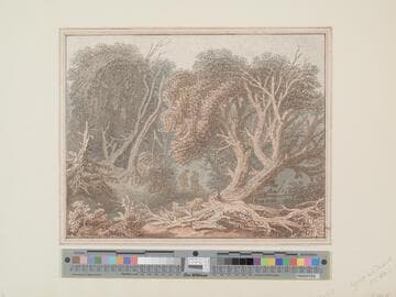 Woodland Scene with Figures
