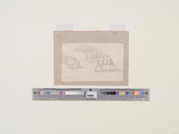 Three Studies of Cattle