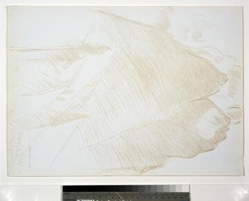 Mountain Landscape, Twin Peaks and Trees in Foreground