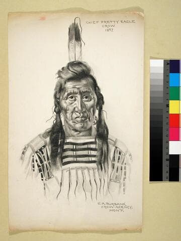 Chief Pretty Eagle Crow