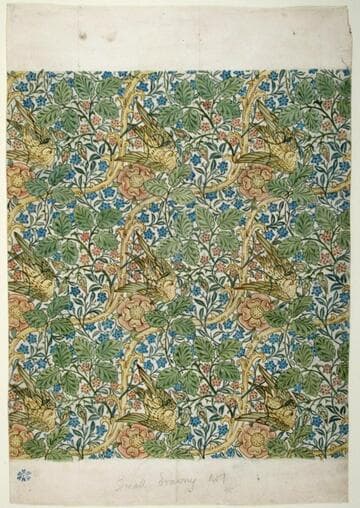 Design for Printed Fabric