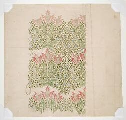 Go to image 2.