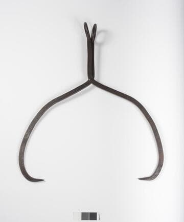 Ice Tongs